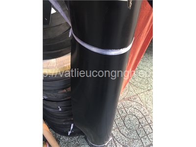 CAO SU VIỆT NAM SBR